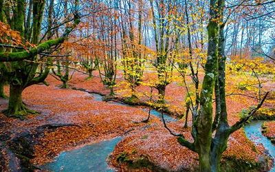 Planes de Otoño en Bilbao y alrededores